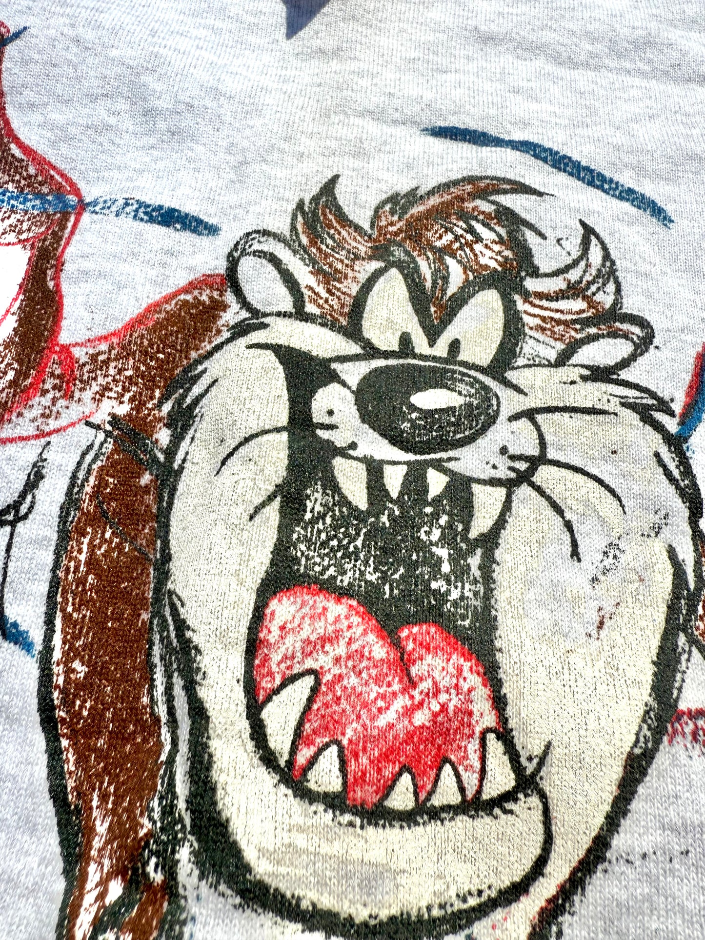 Vintage Taz Tasmanian Devil Retro 90's Acme Looney Tunes Sweatshirt XL Deadstock