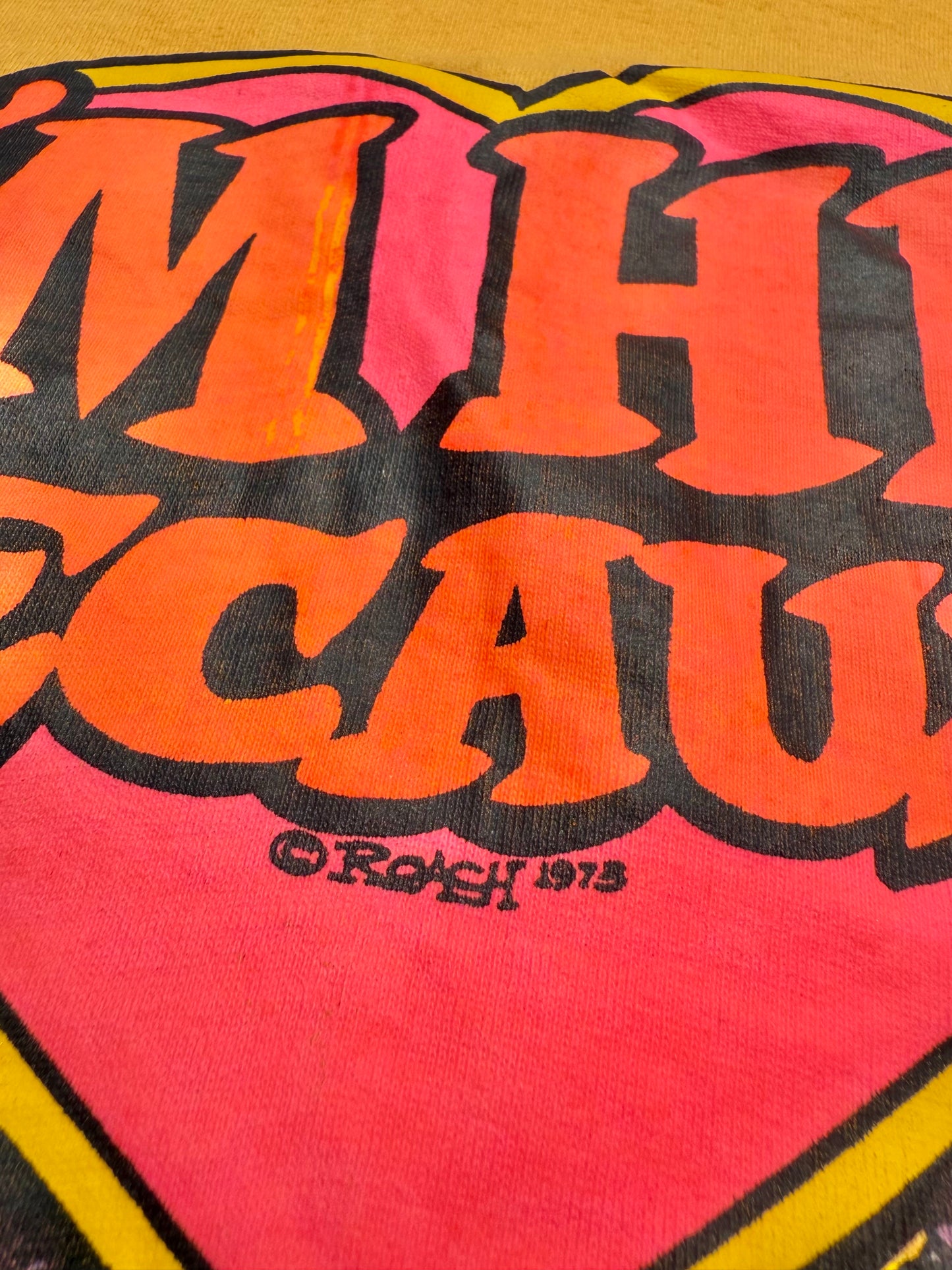 Vintage 70's 1970's Retro Single Stitch His and Hers Matching T Shirts Size Medium and Small 1973