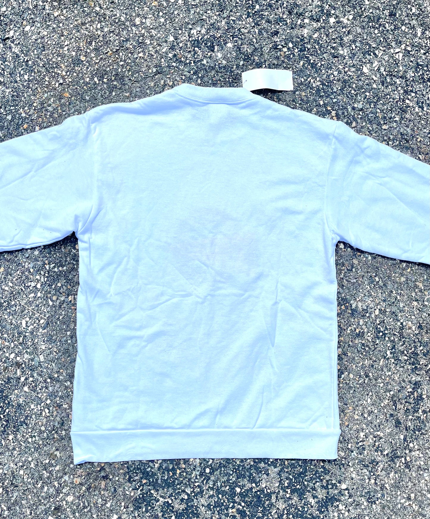 Vintage Deadstock Looney Tunes Taz Tasmanian Devil University Retro 90's Sweatshirt Size M Medium 1993