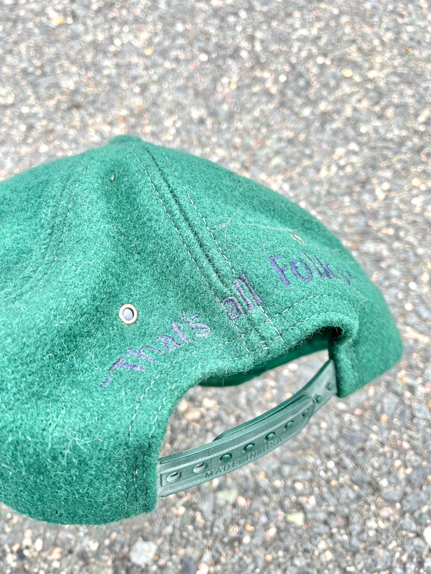 Vintage Looney Tunes Bugs Bunny/Tweety/Taz/Sylvester Acme Retro 90's Wool Baseball Snapback Hat Green