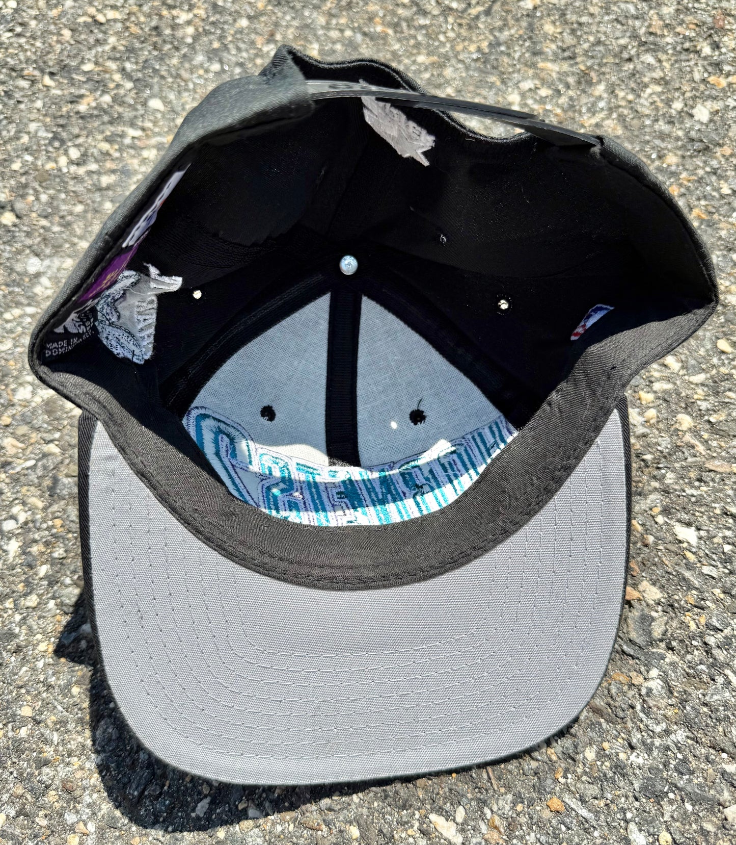 Vintage Starter Charlotte Hornets Rare Larry Johnson Hornets2 Retro 90's Logo Spell Out Snapback Hat