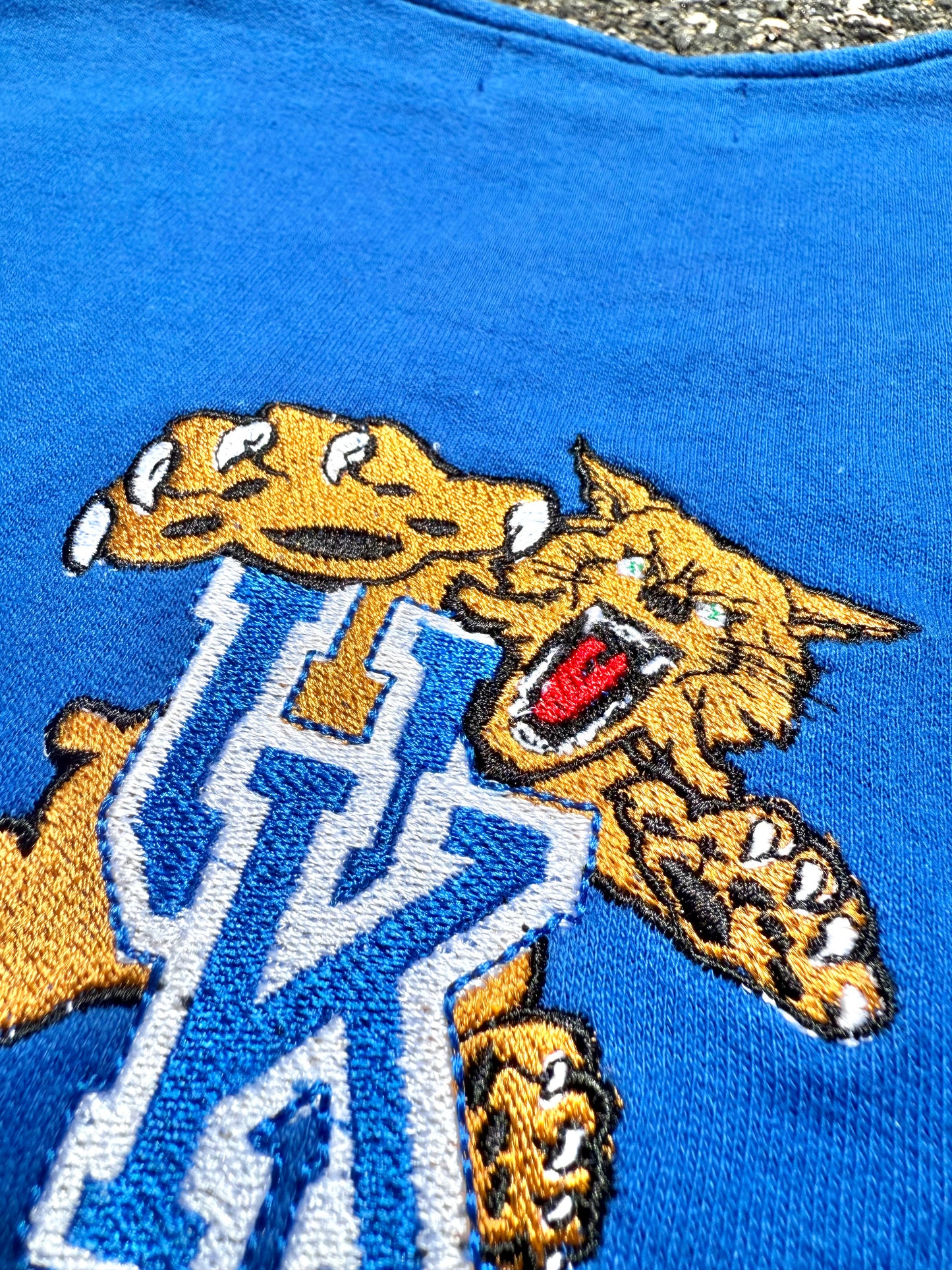 Vintage University of Kentucky Wildcats UK 80's Knit Sweater Vest Size L Large