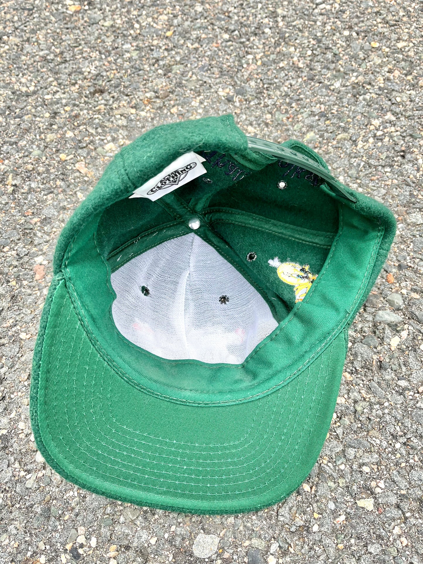 Vintage Looney Tunes Bugs Bunny/Tweety/Taz/Sylvester Acme Retro 90's Wool Baseball Snapback Hat Green