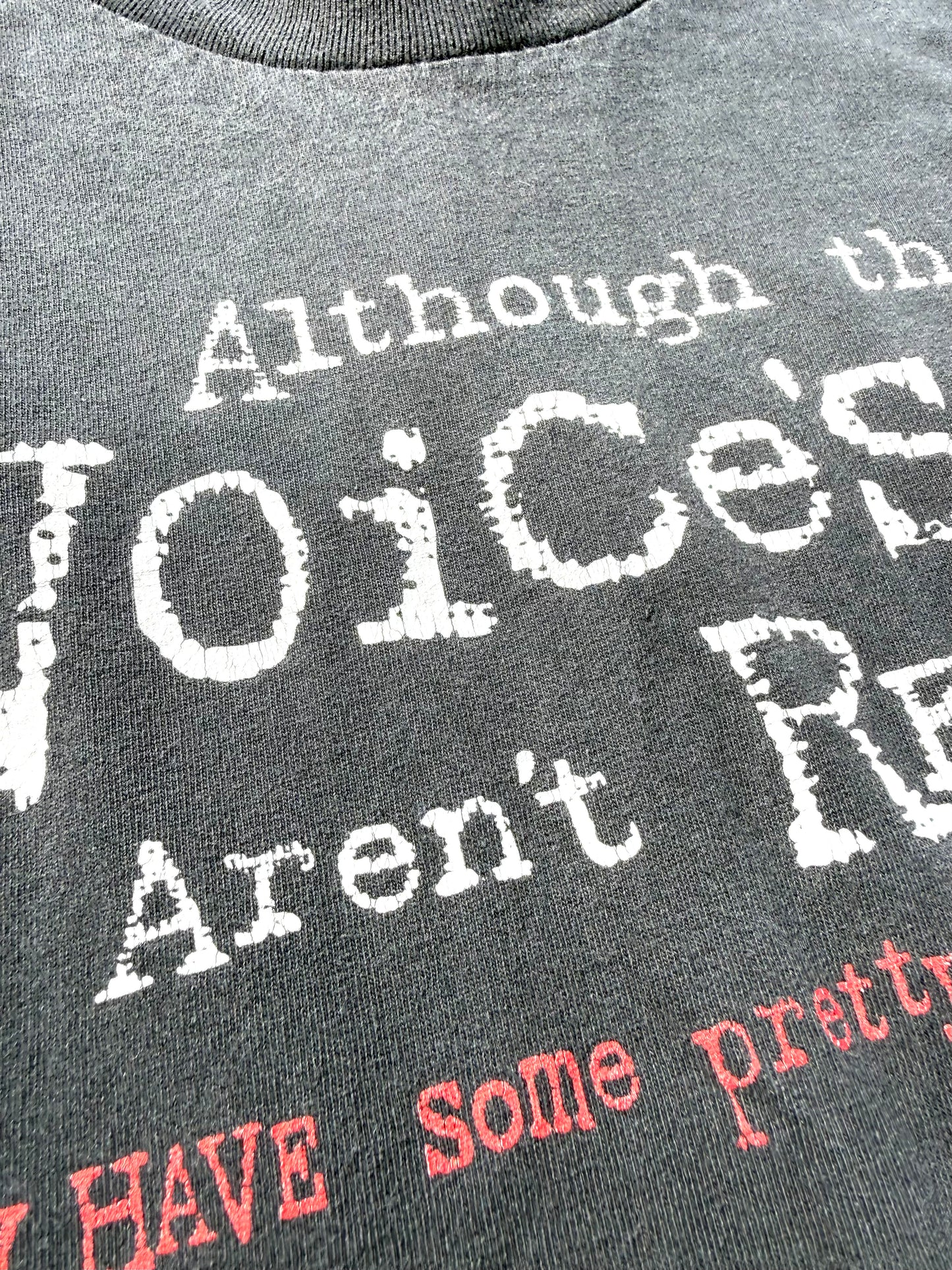 Vintage Tennessee River Voices In Your Head Funny Punk Rock Y2K 2000s T Shirt XL Black