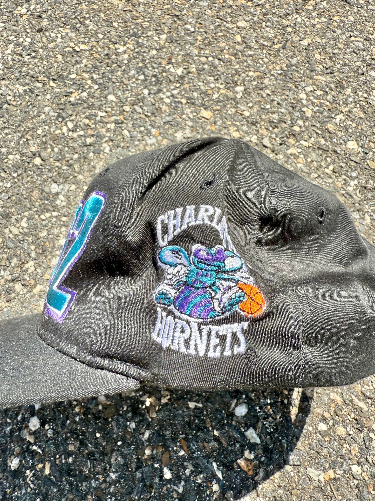 Vintage Starter Charlotte Hornets Rare Larry Johnson Hornets2 Retro 90's Logo Spell Out Snapback Hat