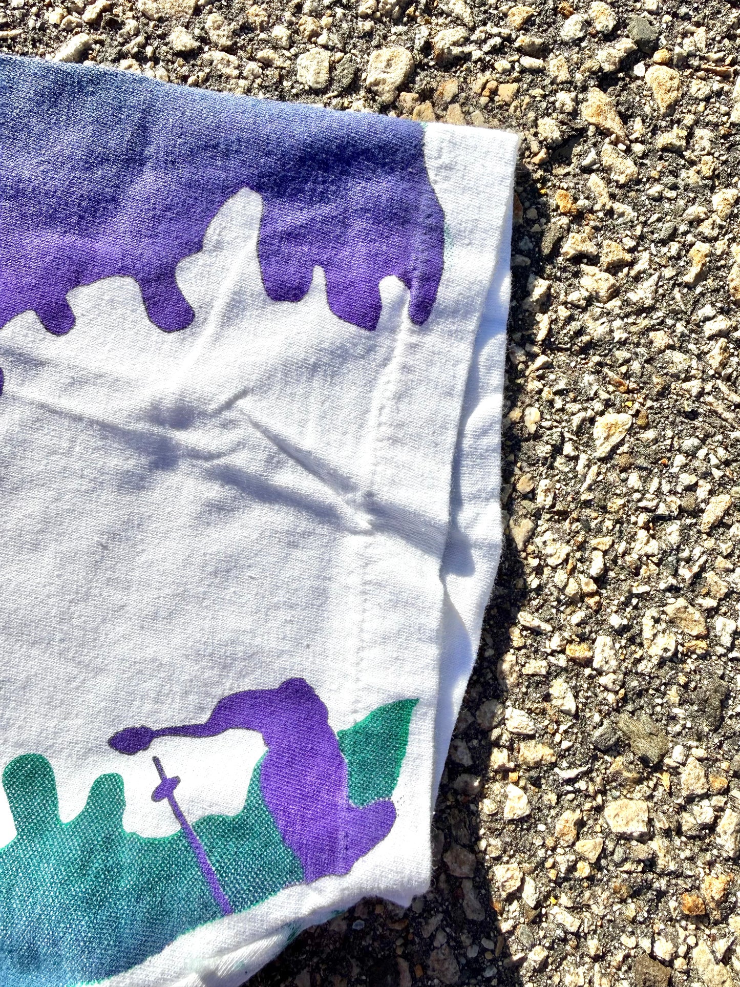 Vintage Disney 90's Crazy Blizzard Beach Gator AOP All Over Print T Shirt XL