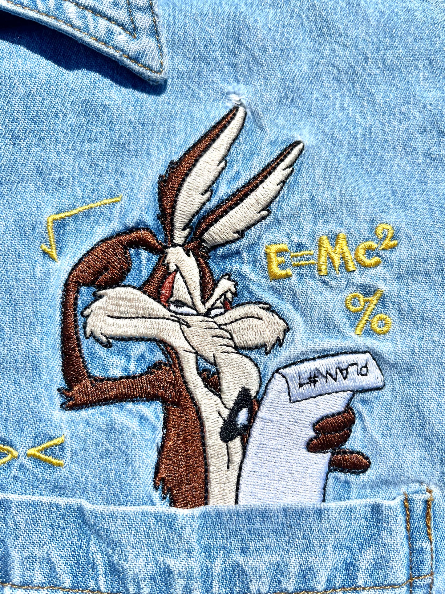 Vintage Looney Tunes Wile E. Coyote Cartoon 90's Blue Denim Button Up Shirt Size M Medium 1996