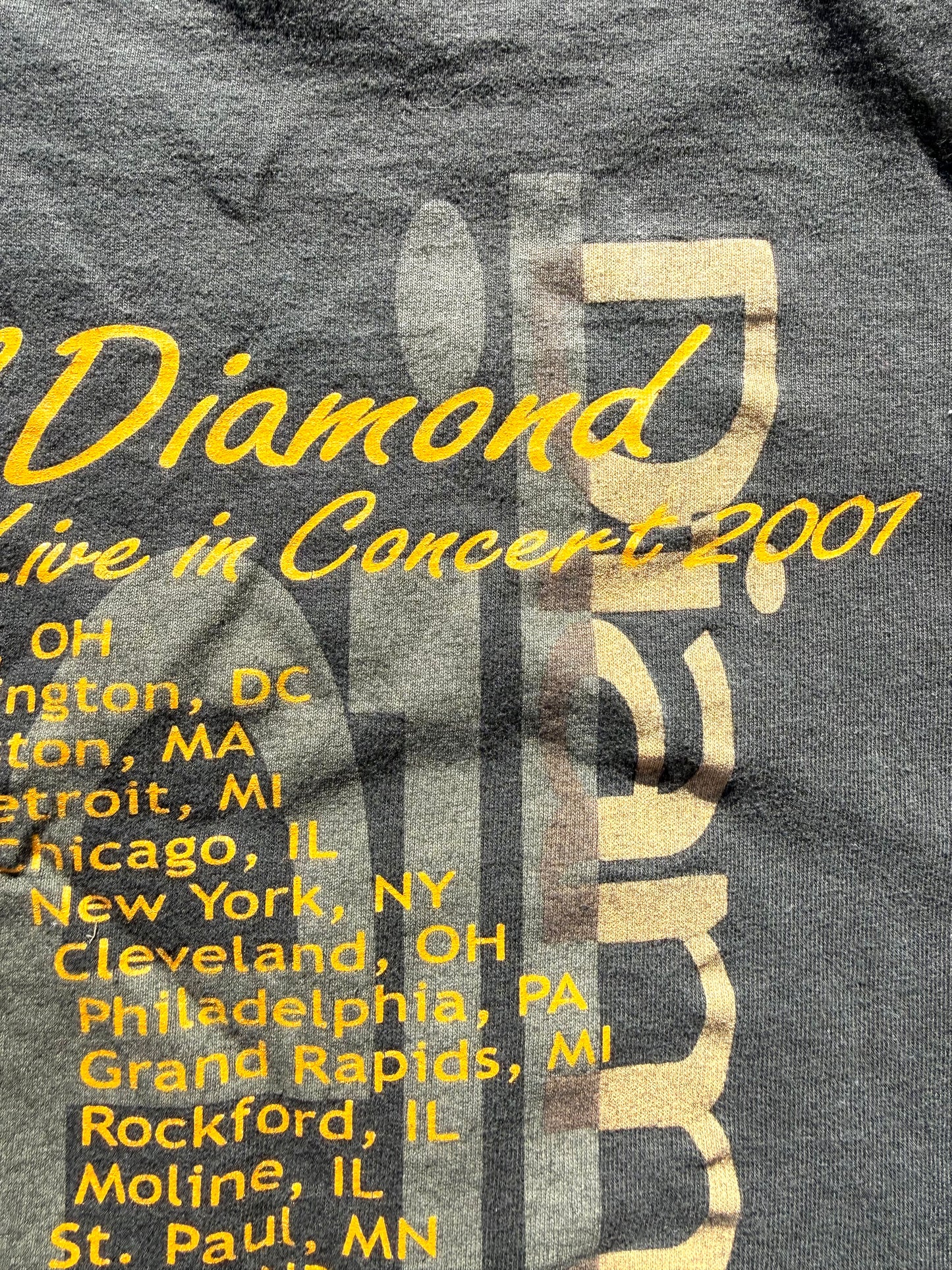 Vintage Neil Diamond Y2K Concert Tour Band T Shirt Size L Large 2001 Black