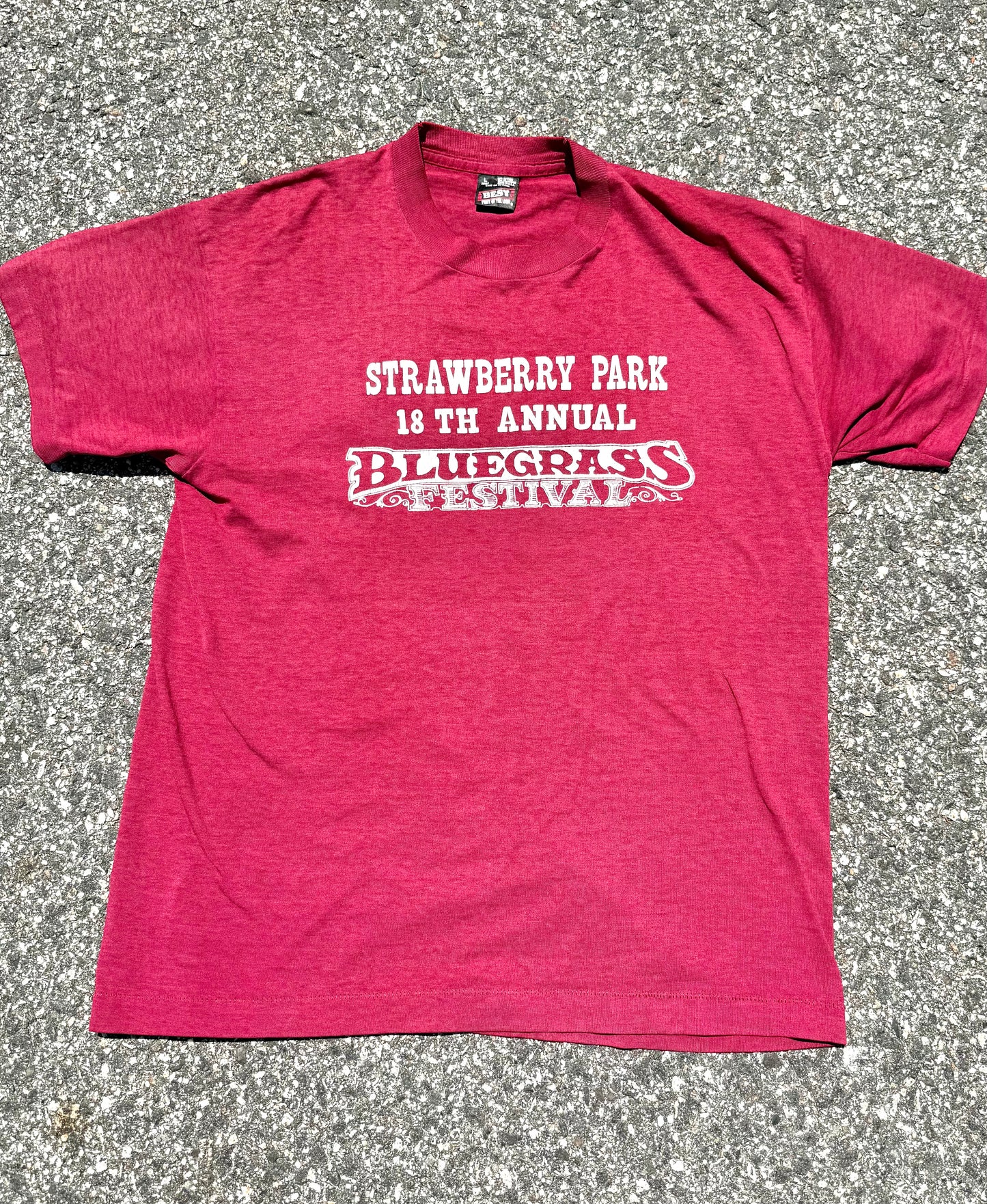 Vintage Strawberry Park Bluegrass Music 18th Annual Fest Festival 90's T Shirt Size M Medium