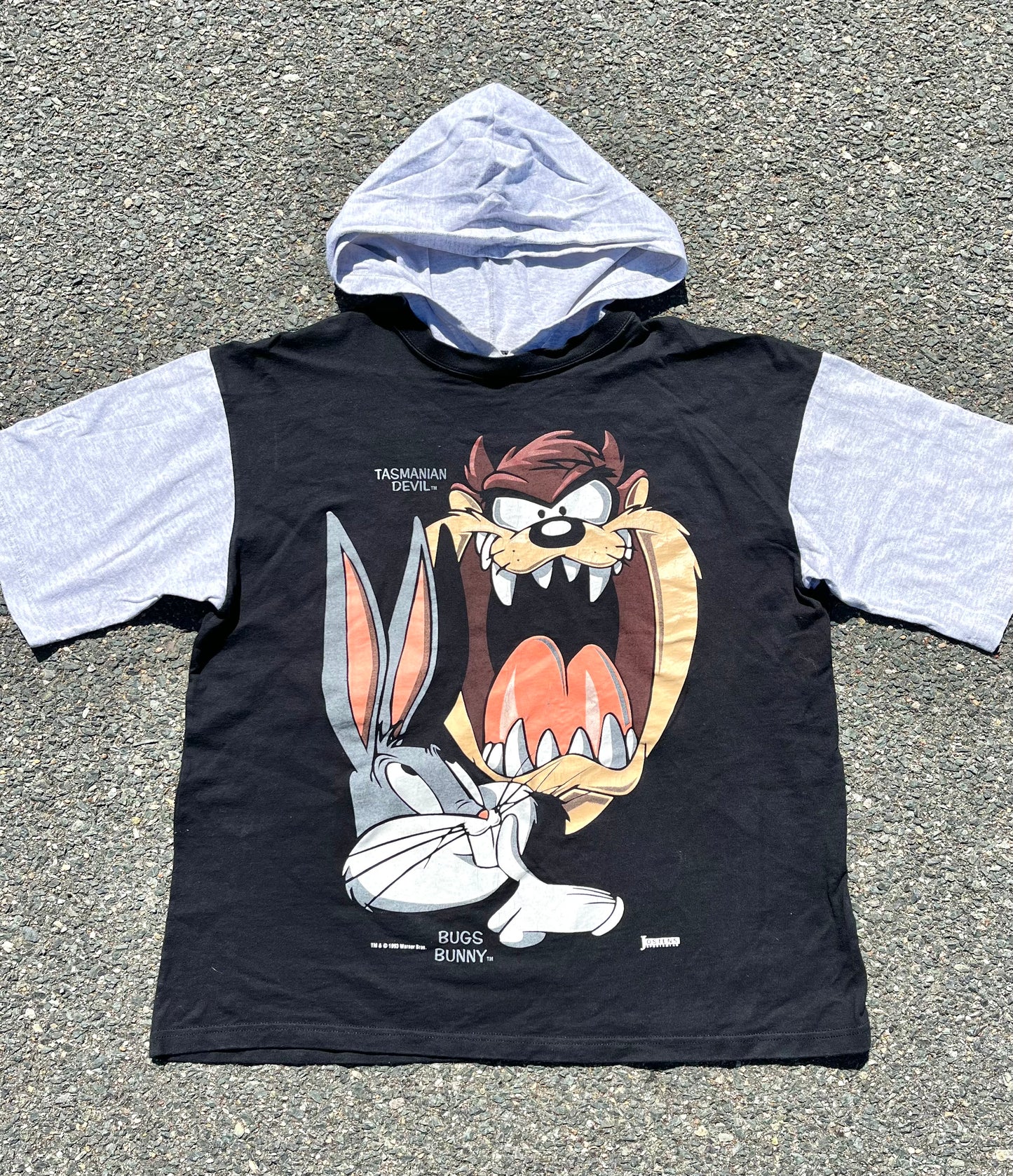 Vintage Looney Tunes Bugs Bunny Tasmanian Devil Taz 90's Hoodie T Shirt XL 1993