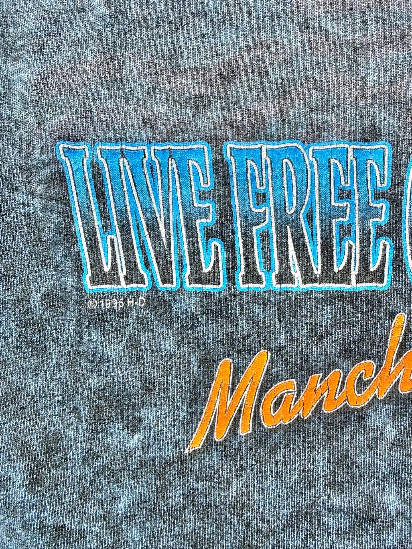 Vintage Harley Davidson Blue Acid Wash Retro 90's Long Sleeve T Shirt Size L Large Made in the USA 1995